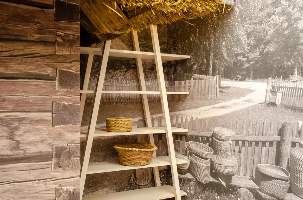 sodzudsc 1078 002 jpg