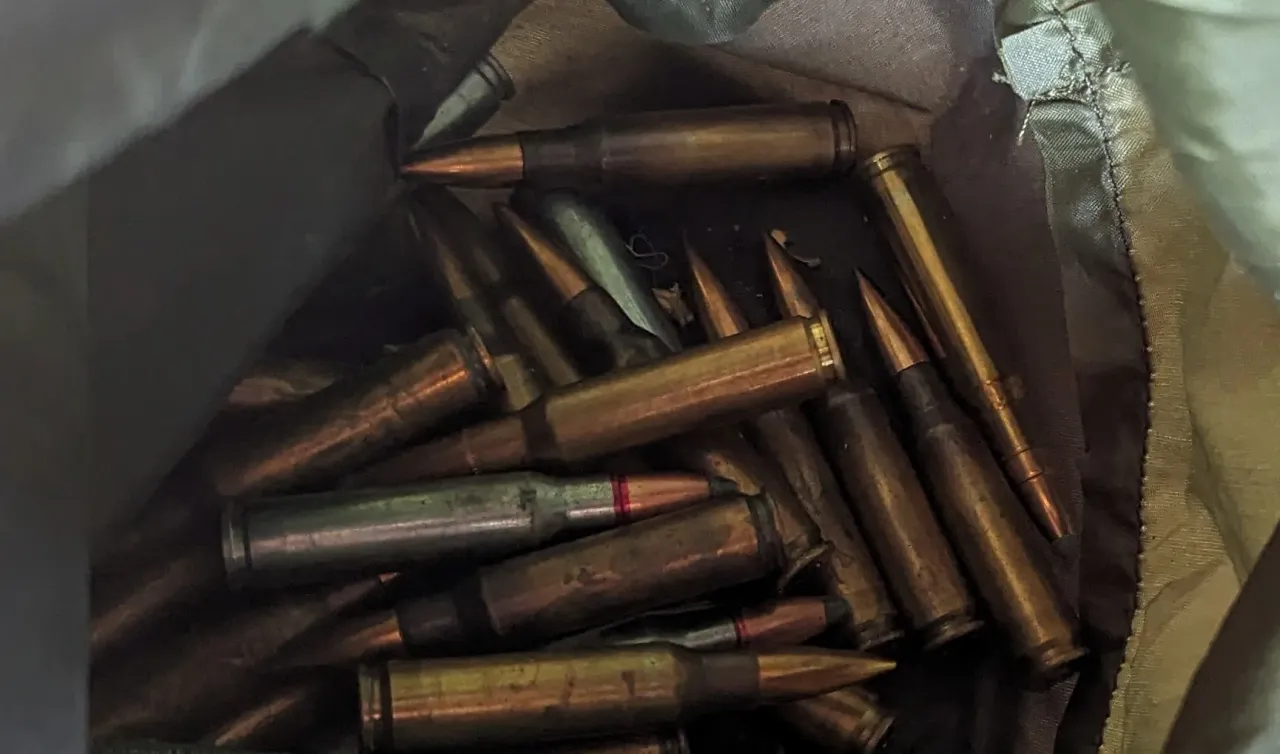 sovnuotrauka nr 82 1 jpg