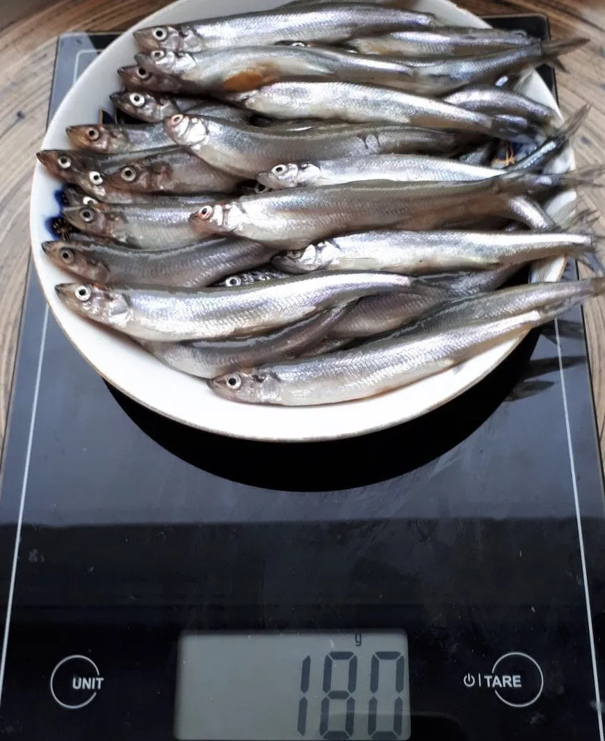 stin153005250 2866097610276130 2670567515448966737 o