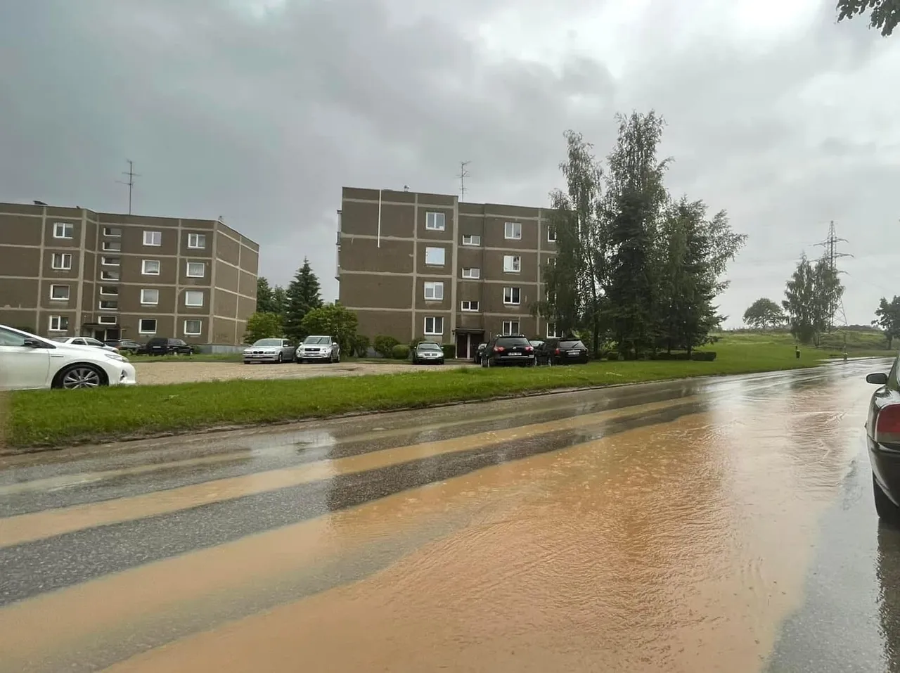 suid287441509 5771257246235448 2317981236273385373 n