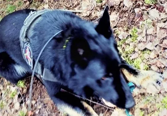 sun20230322 cig kabel 2 jpg