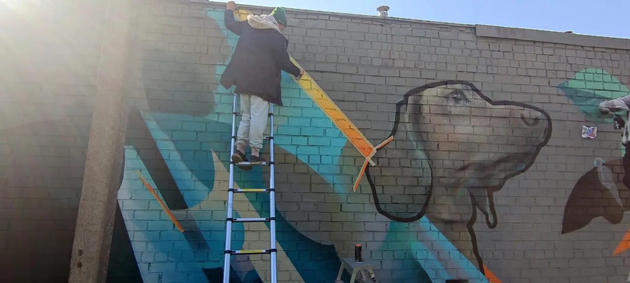 sun244931938 4953559368005244 1823585188266797515 n