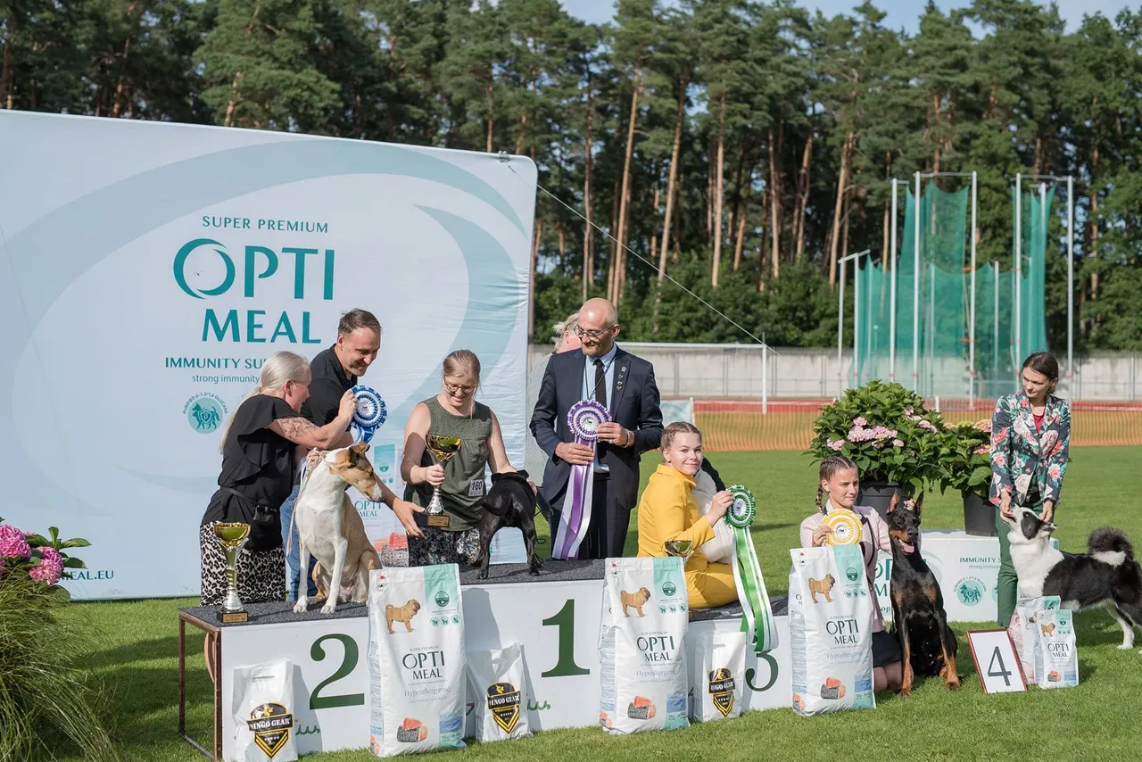 sun296863988 439206718093657 6336360292230300137 n