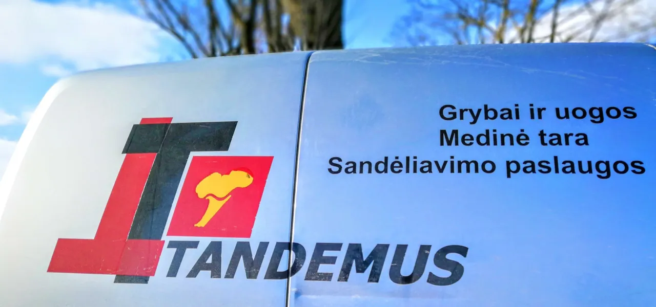 tandemimg 20180221 134149 scaled