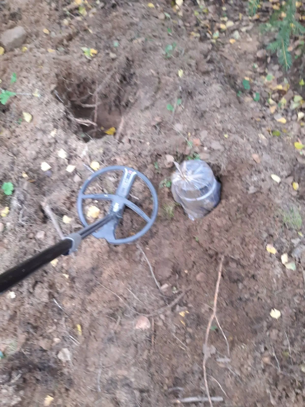 tel243502580 6167289006678376 317389195178628800 n