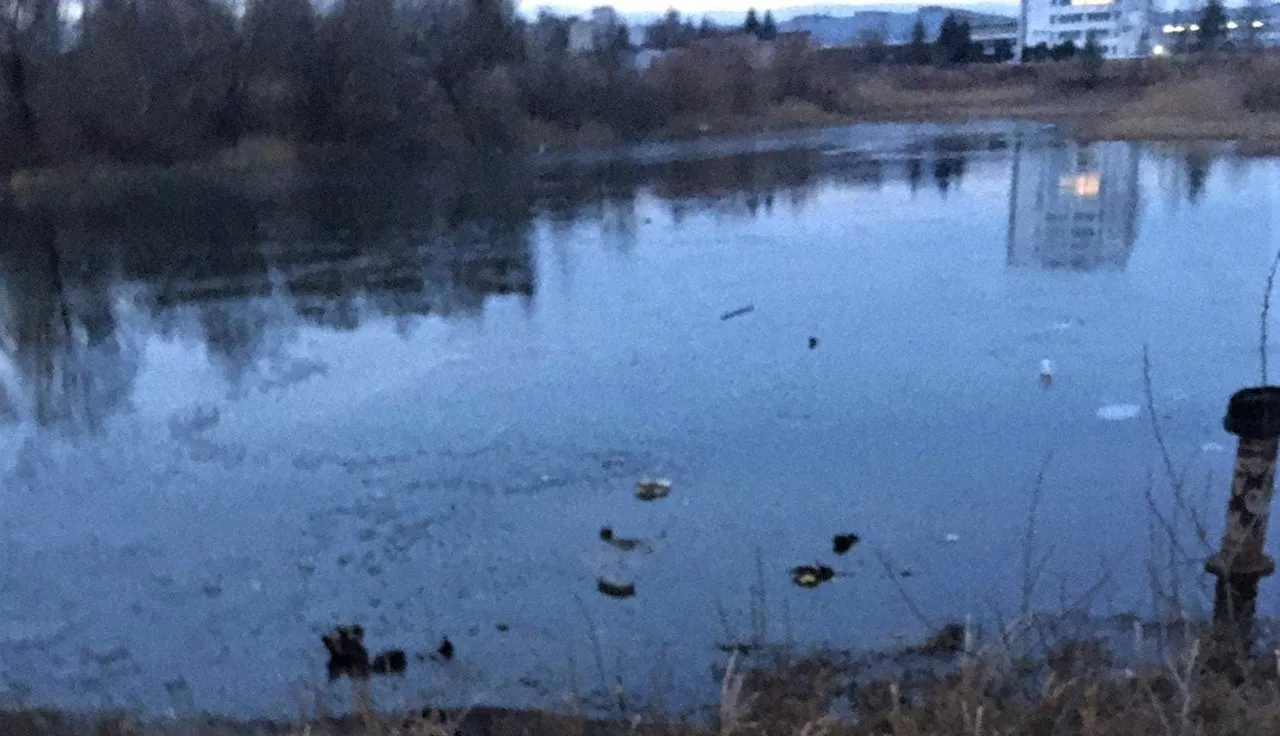 telk134082728 216598963391941 6083697515767071199 nsss