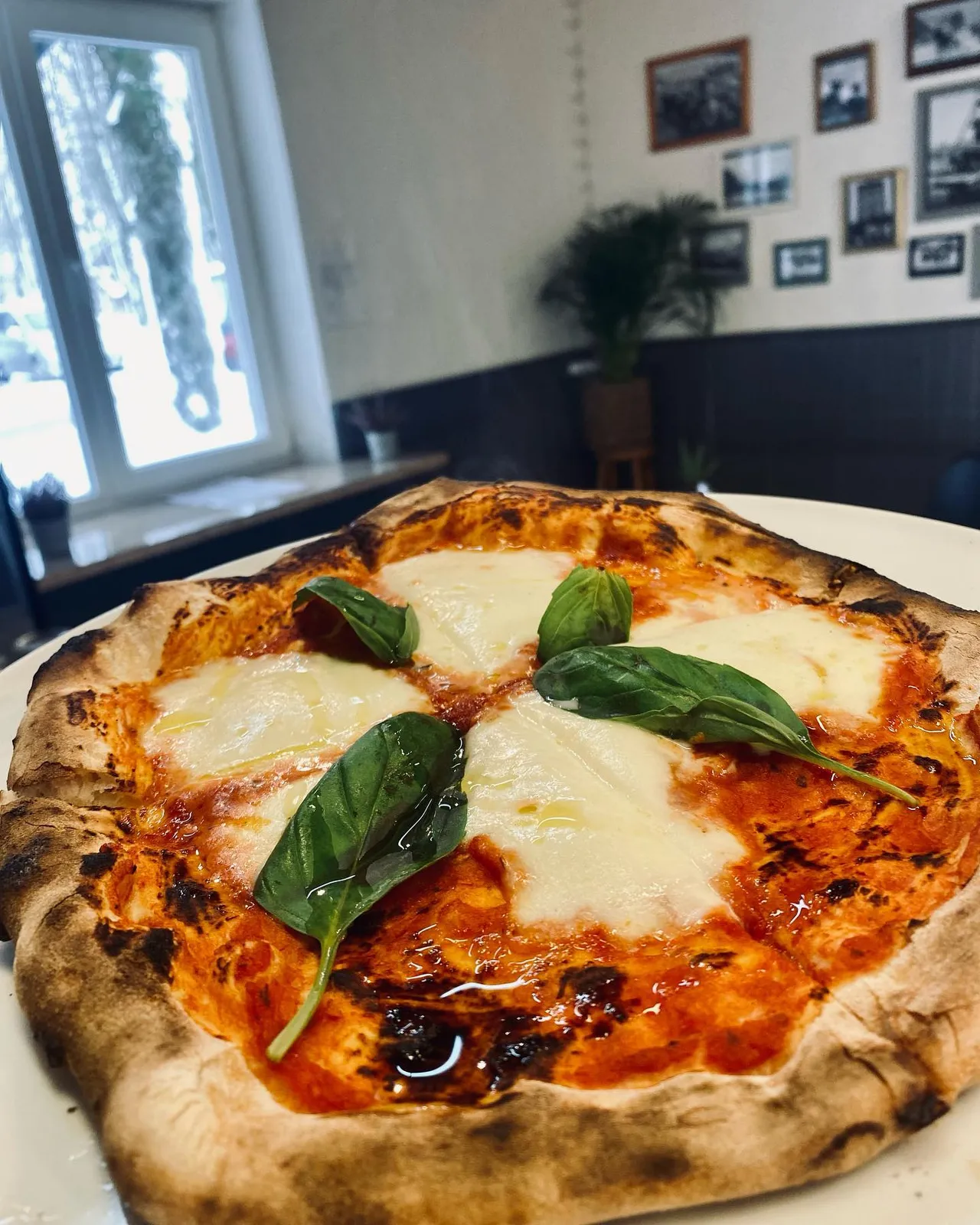 turgaus 4 kavine dauguose