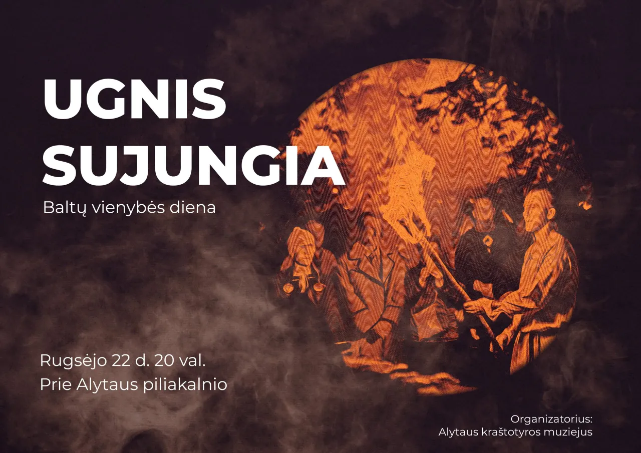 ugnis sujungia3 scaled