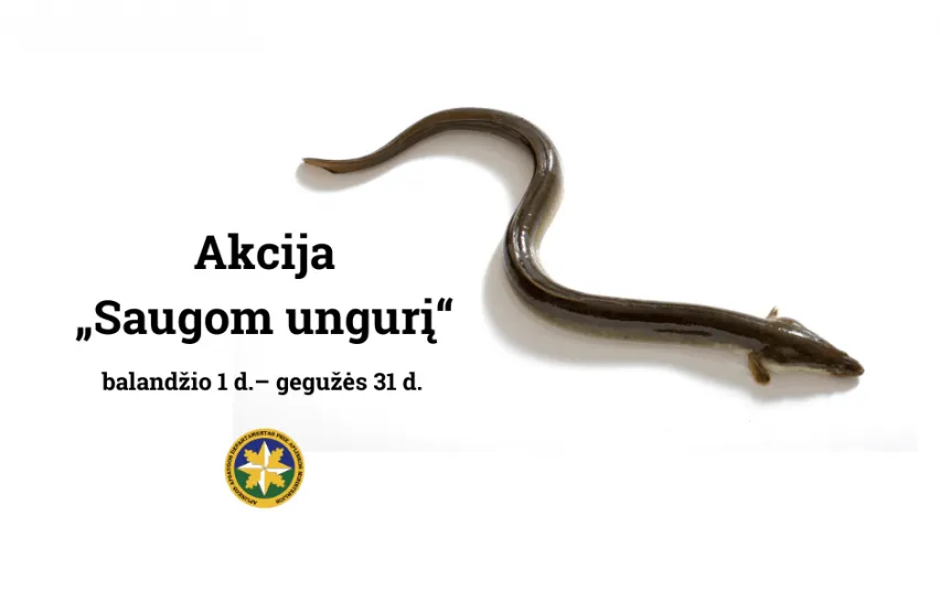 ungur3323 02fd565ffd45a100b15176c205a15c1c