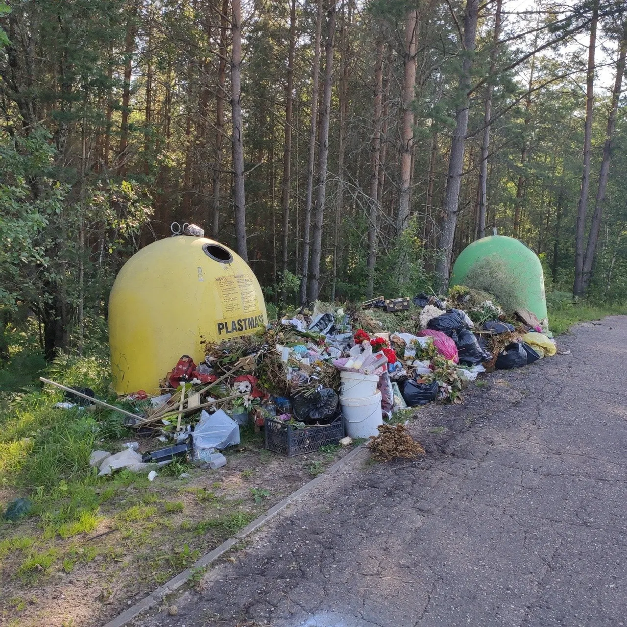 uzum3213743246 4660657543962096 671867888077568354 n