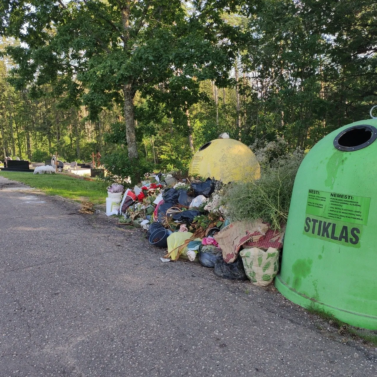 uzume211911598 4660656547295529 4354522193815030411 n