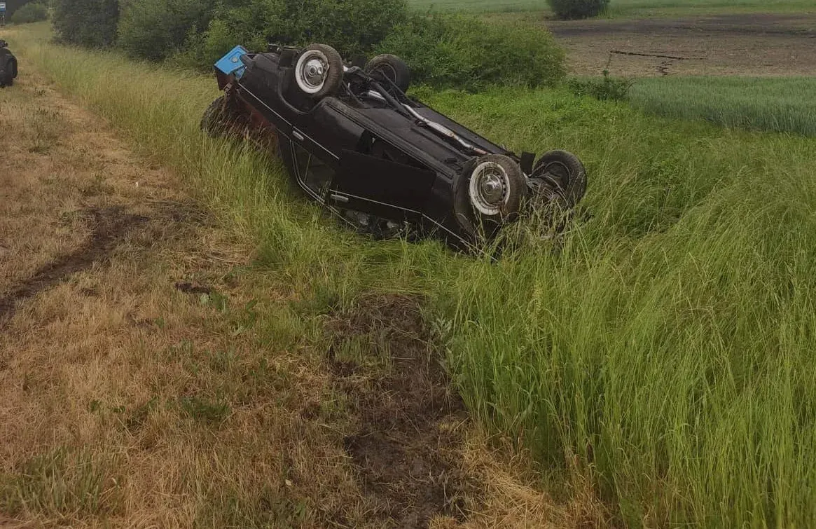 venc347147035 795846998796290 6502066510028506473 ns jpg