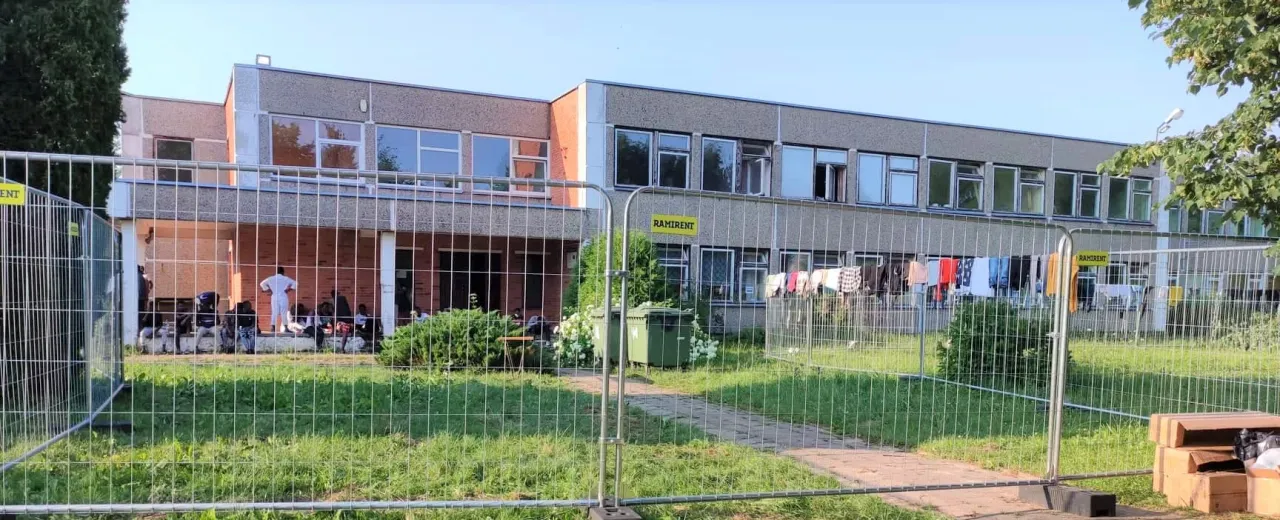 verenele212836224 1018836552197503 4055252000177004346 n jpg