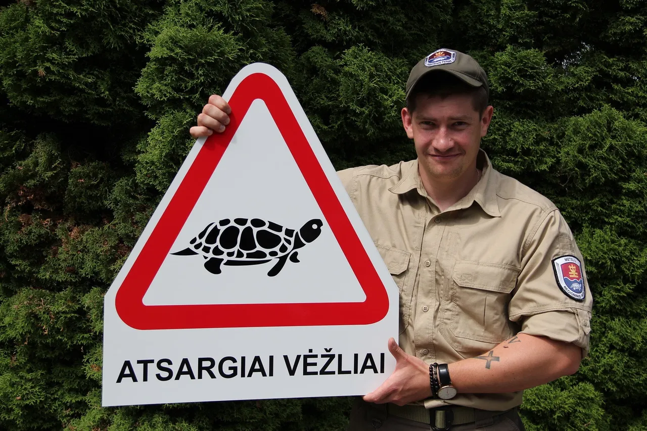 vez194684440 2936056239946933 6907981473801555136 n