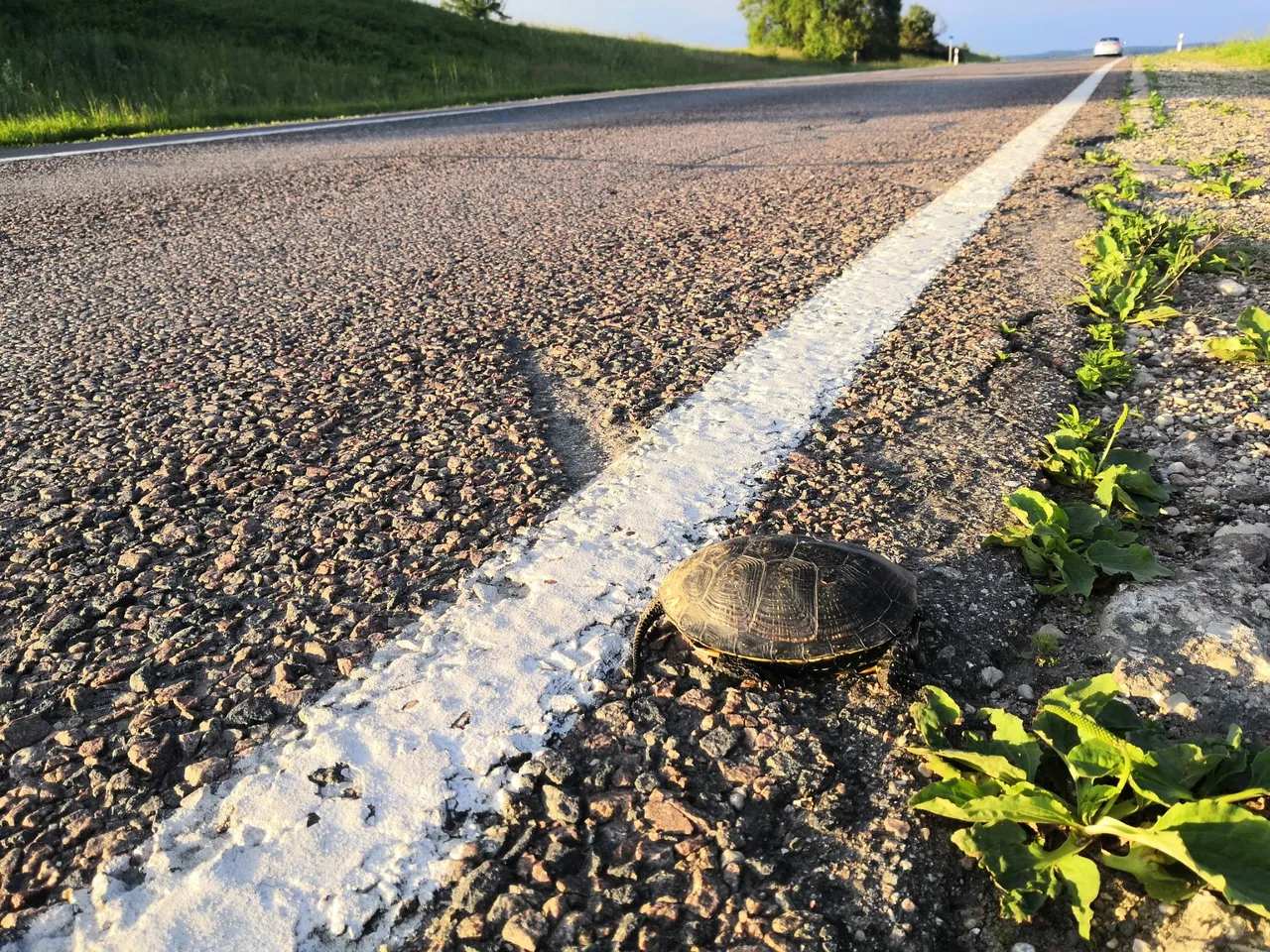 vez281349361 3199565540262667 2885675844062317490 n