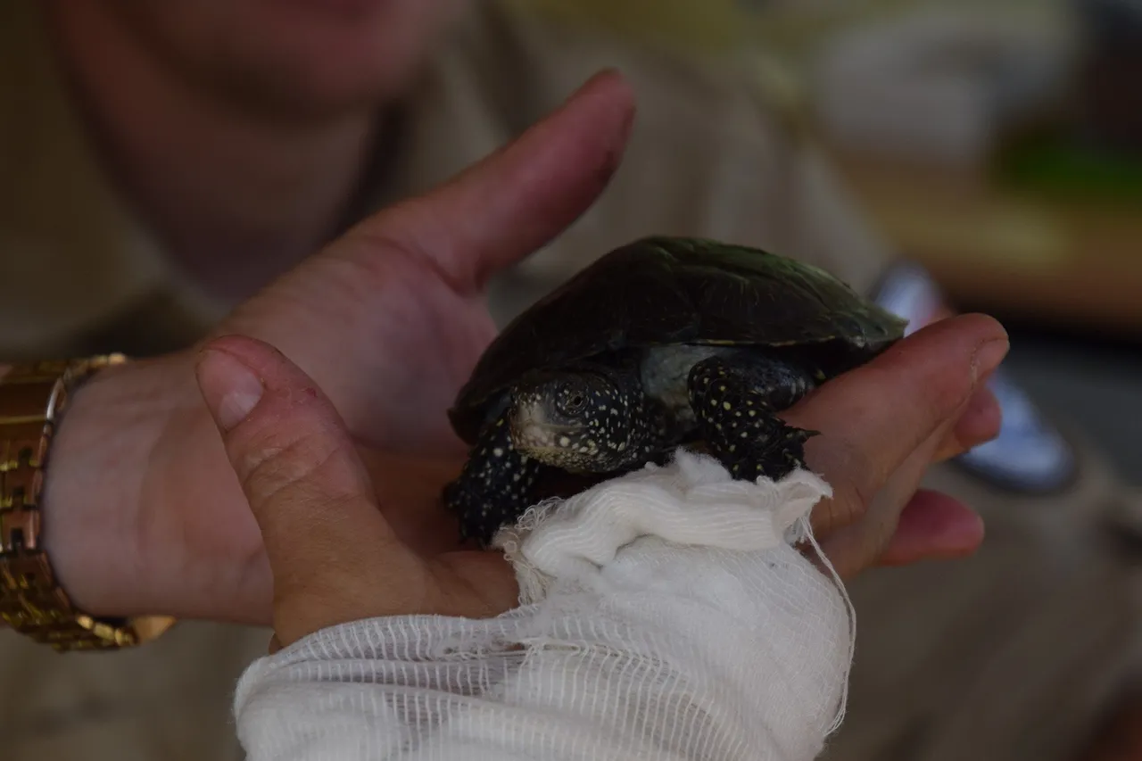 vezl193298800 2936055819946975 4869783493445409277 n