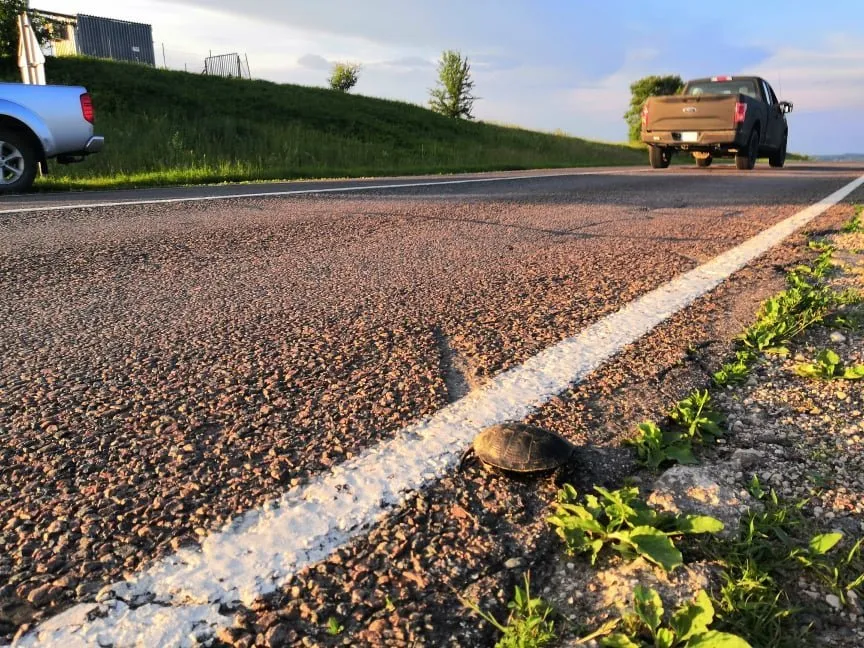 vezl194384248 2936058216613402 7862436035976180633 n