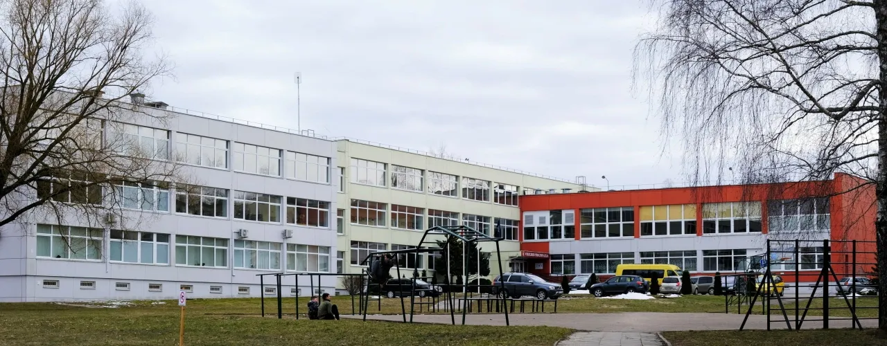 vidzdscf3079 3 scaled