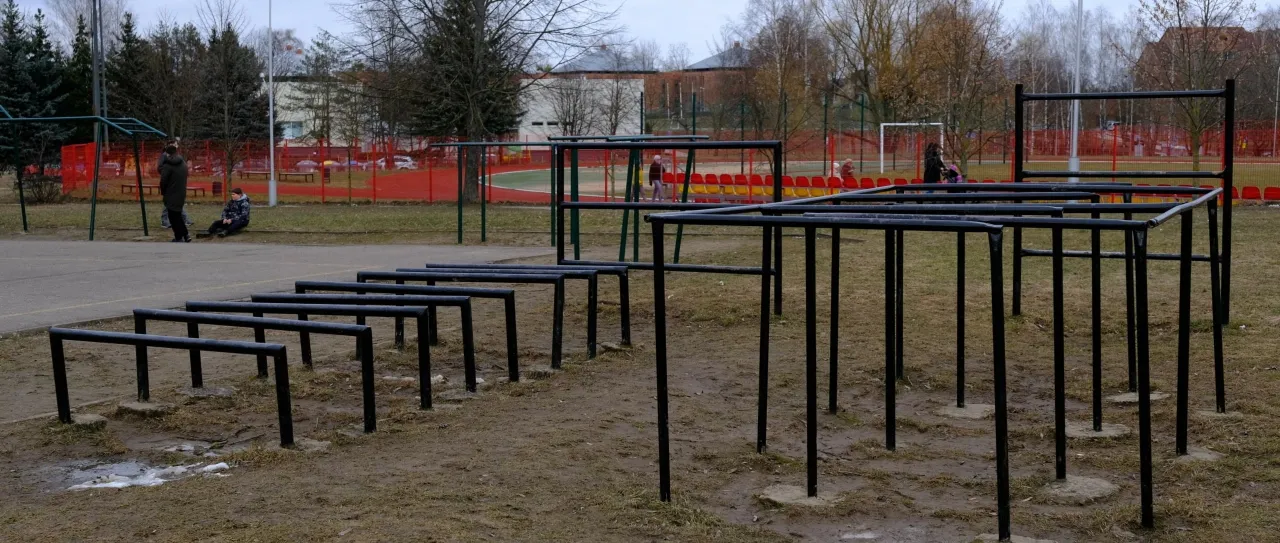 vidzdscf3085 2 scaled