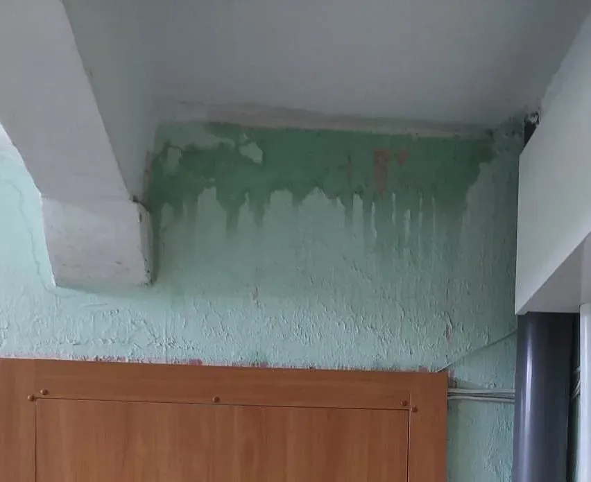 ving351618414 278056604795932 3516892618919764968 n jpg