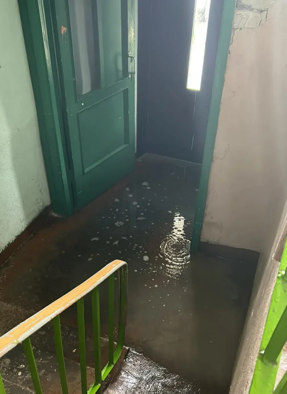 ving354150864 503932105221625 1450591906739697672 n jpg