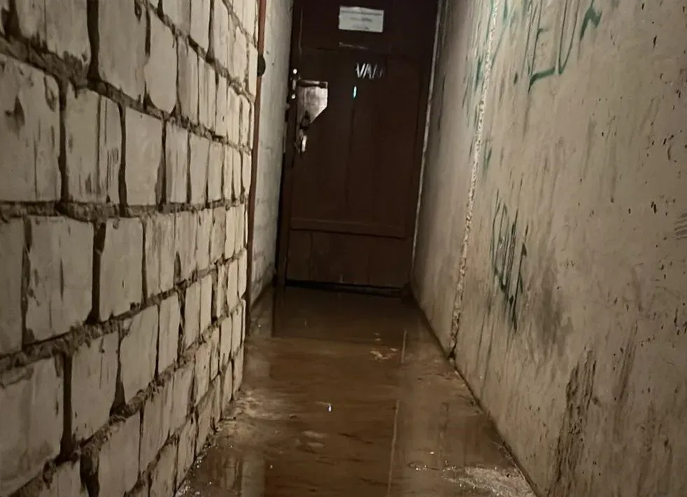 ving354473705 1314775829128206 3615660293275300480 n jpg