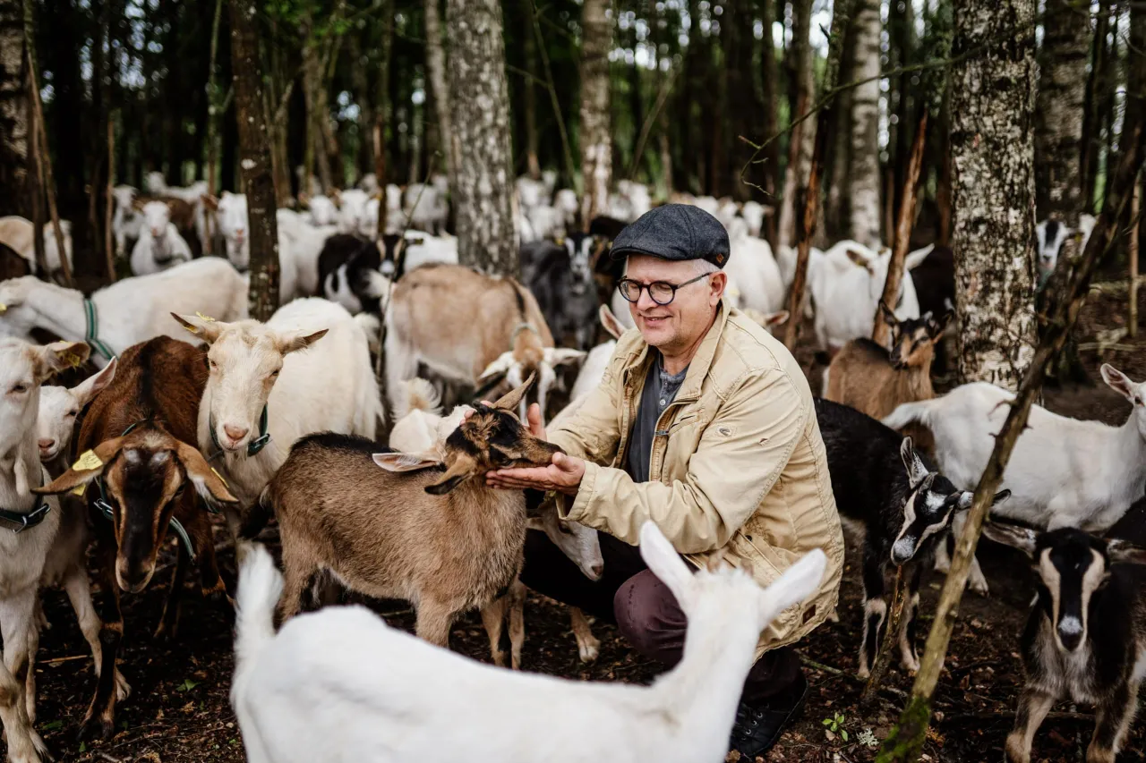 vkavaliauskas joana burn scaled