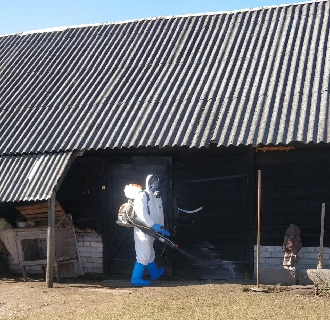 vmv336899265 2168176120019331 6037597210020227080 n jpg