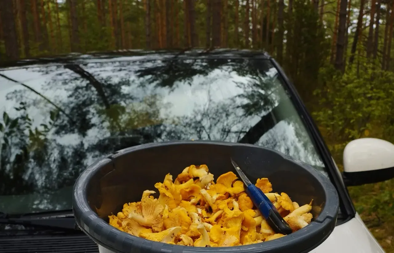 vover363355487 840617851110959 1202985153395902127 n jpg