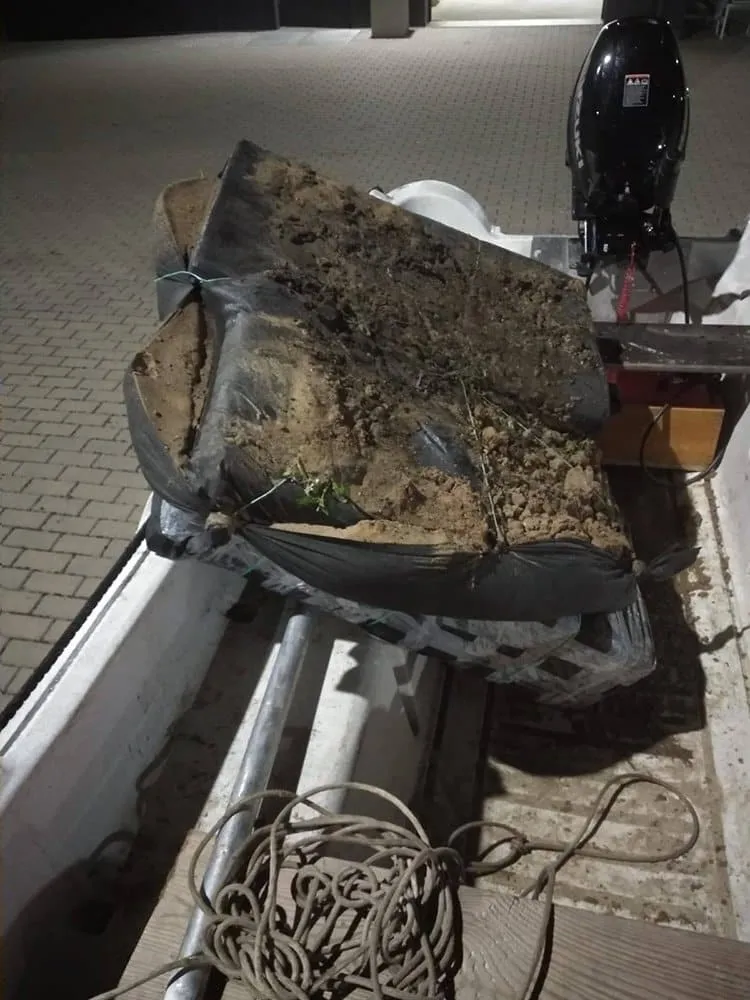 vsa0905 plaustas01 56539