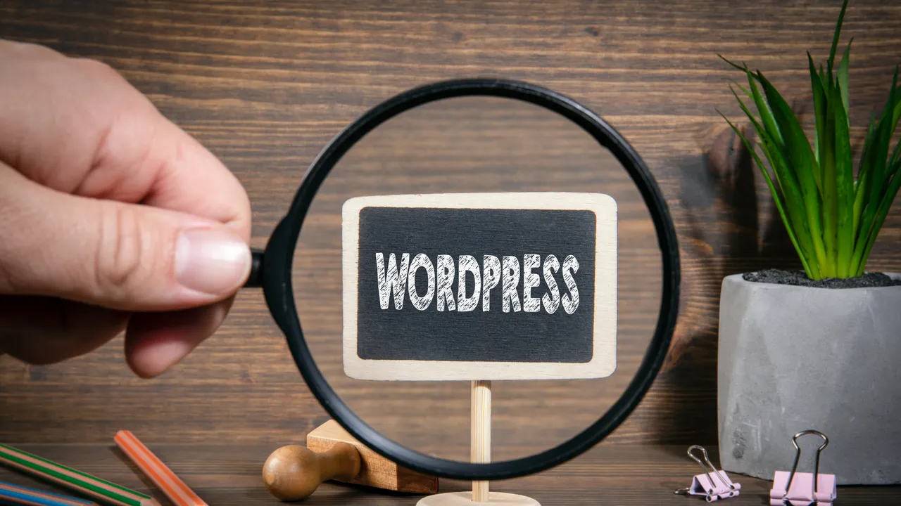 wordpress svetainiu kurimas