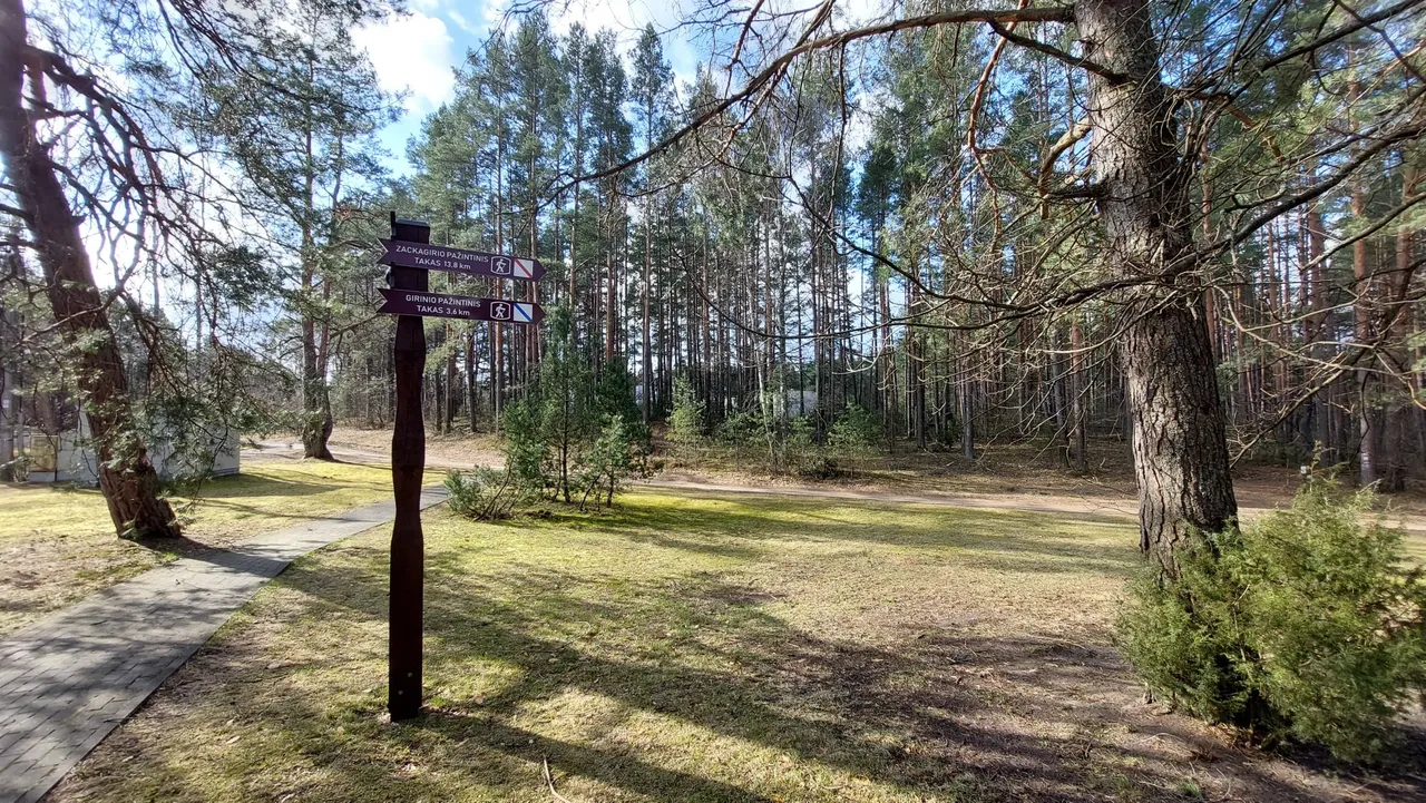 zack281691590 2173697352783184 4726965380484553280 n