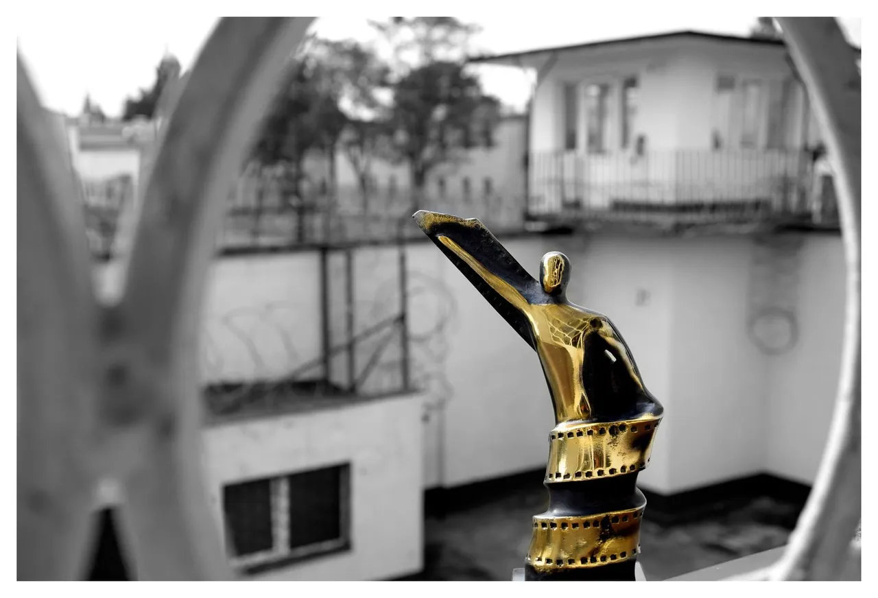 zonoskar245273801 212785520943869 965979574287595240 n