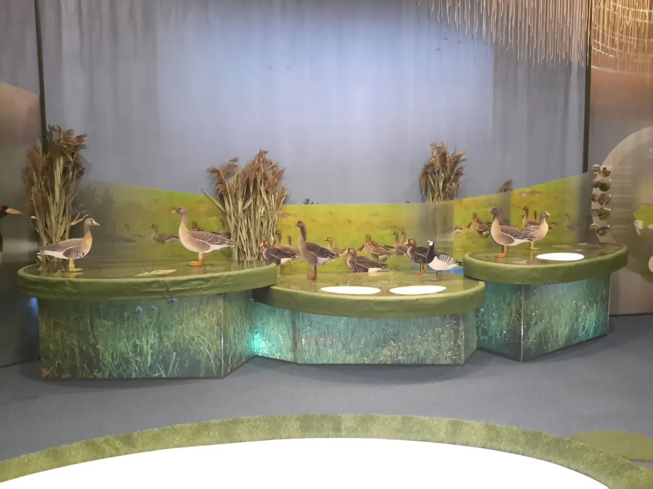 zuv20200115 113331 jpg