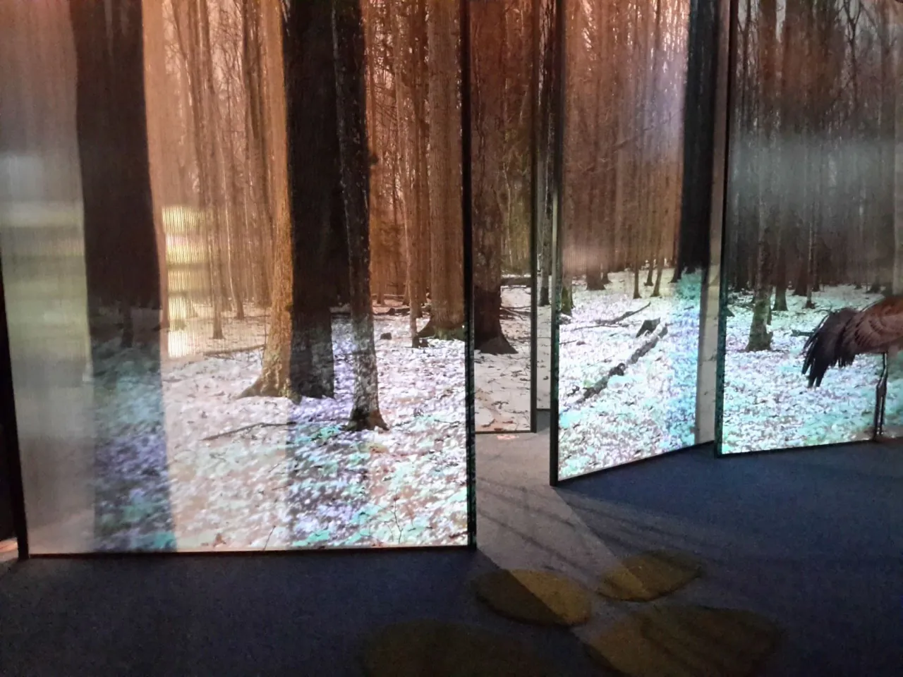 zuv20200319 094014 jpg