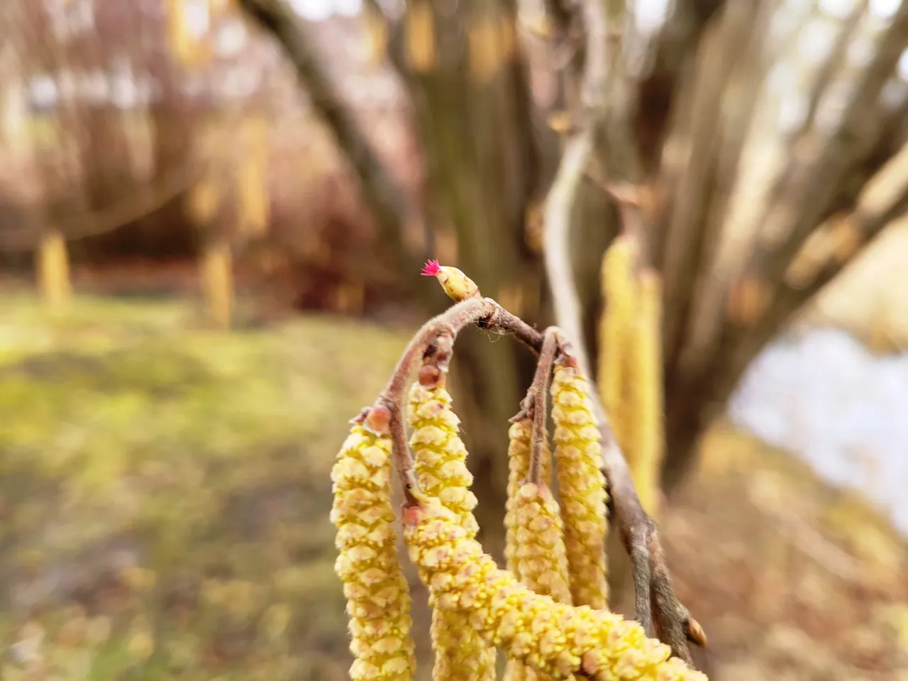 zuv274511434 312999464189436 2792384710952401576 n