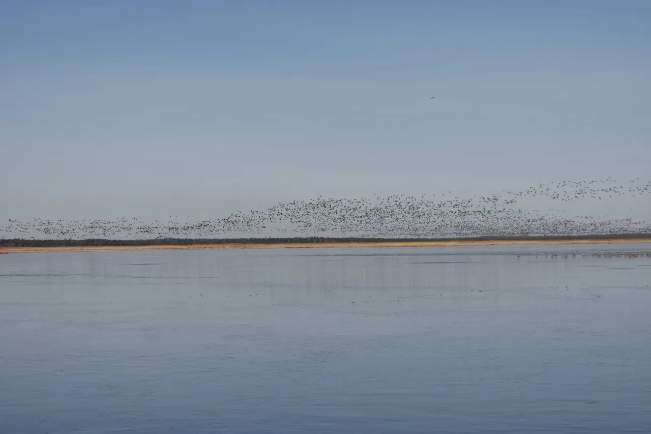 zuv275676942 325726932916689 863093401152891266 n jpg