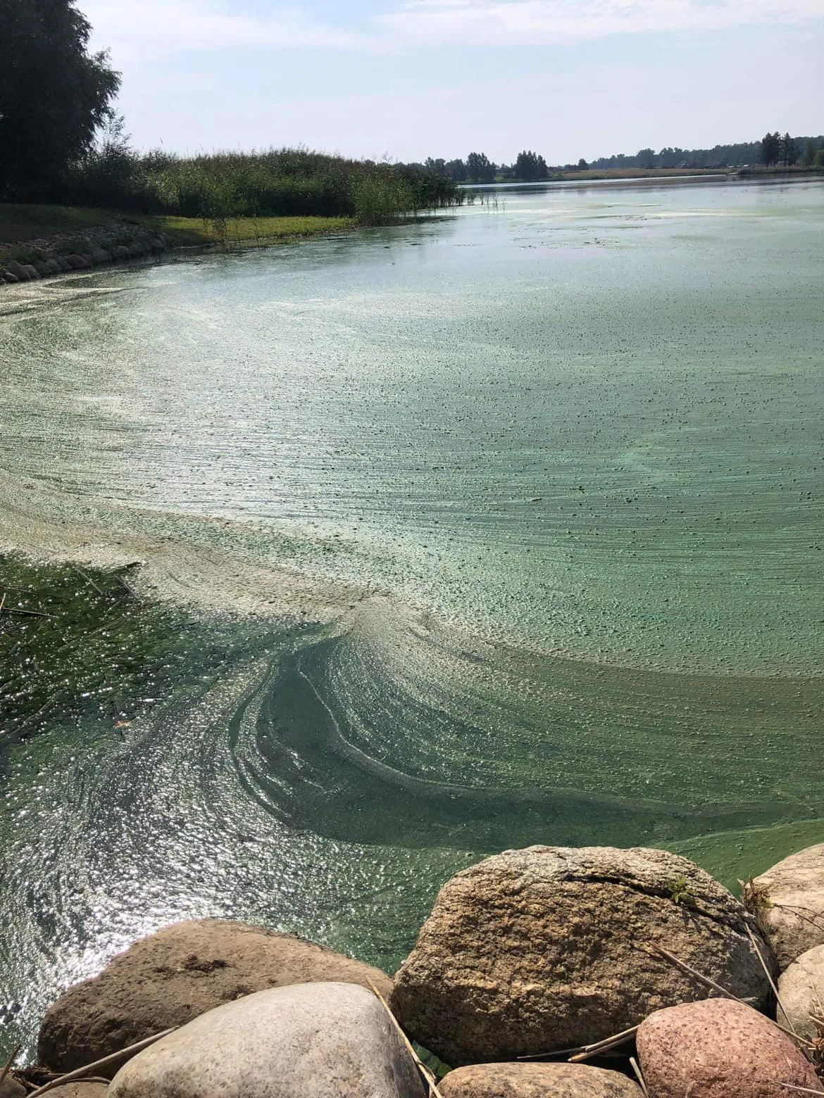 zuv366304836 834844781563178 3368207047869807658 n