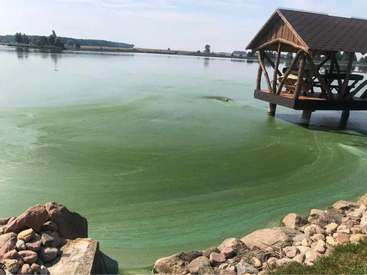 zuv366735866 834844761563180 7600489548558937080 n jpg