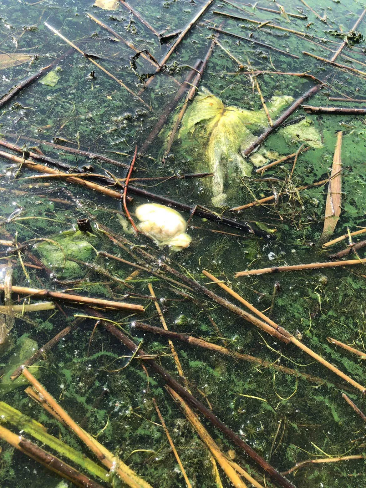 zuv366994465 834844714896518 5055925987036124478 n