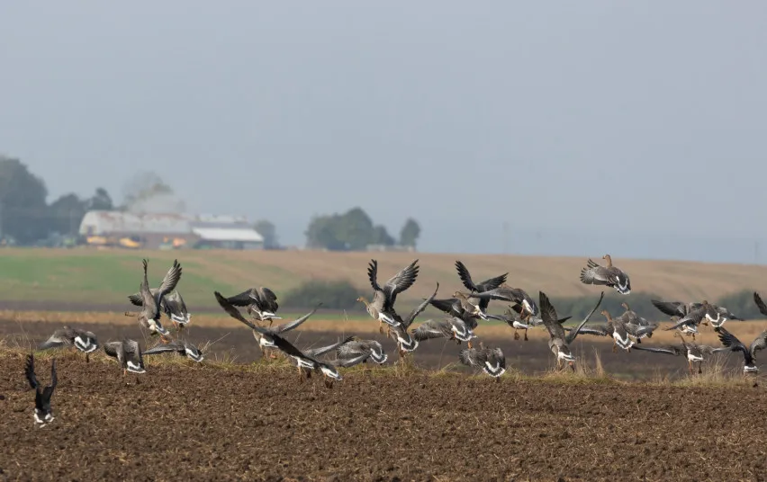 zuvpau1776 9e975a391dcc49e93541fa33750db9ae