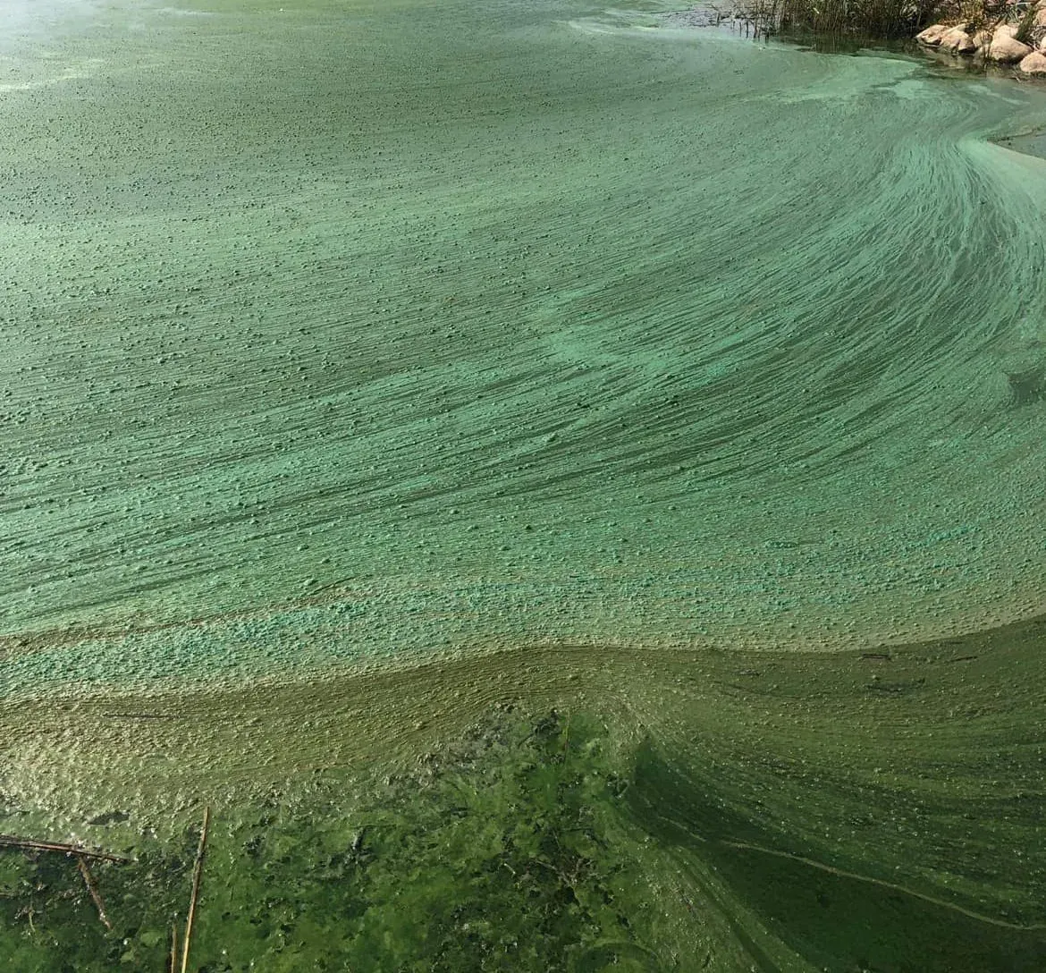 zyd366364206 834844704896519 5406700339831545920 ns jpg