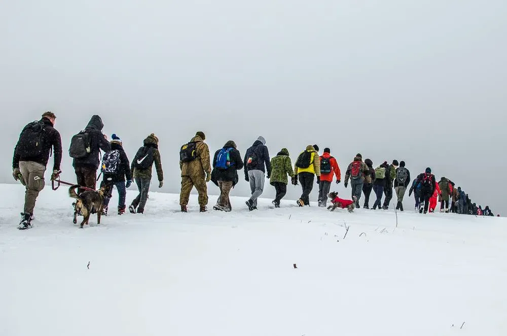 zyg317485494 3413188392249859 9125448384264430653 n jpg