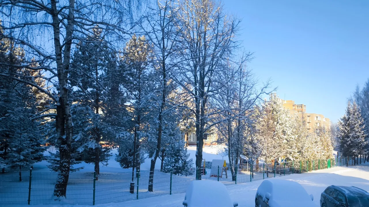 img 20250216 095458 scaled