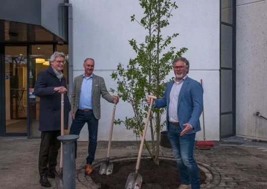 3 boom planten bolsius broekhuizen en hoefakker