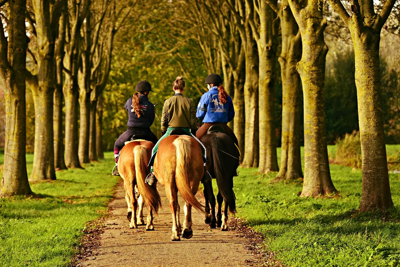 horse rider 3807396 1920