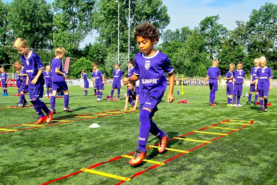 procamp 1 robur et velocitas