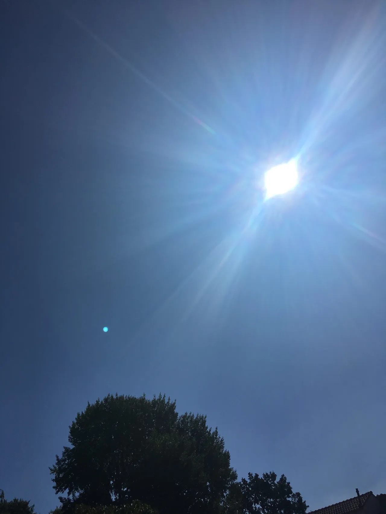 zon e1532338480866
