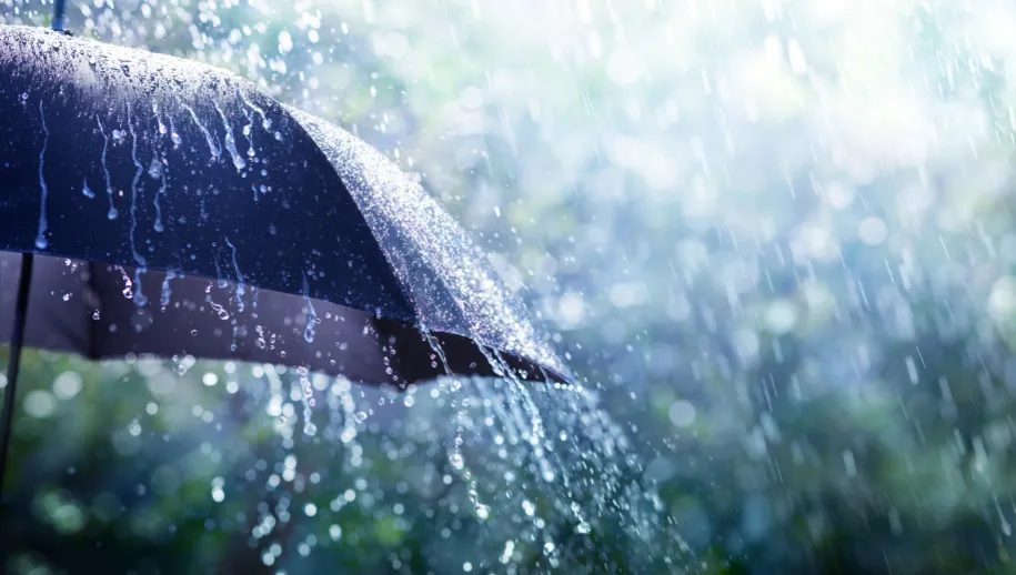 regen