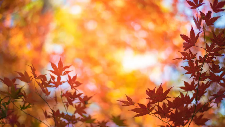 Ontwerp zonder titel (48)